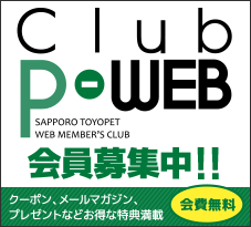ClubP-WEB会員募集中